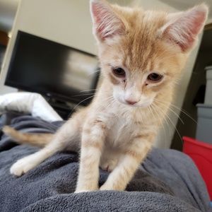 Meet your Posher, Annamarie